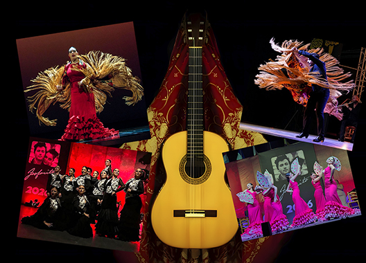 XX Edición: Encuentro Flamenco – Viva el Flamenco